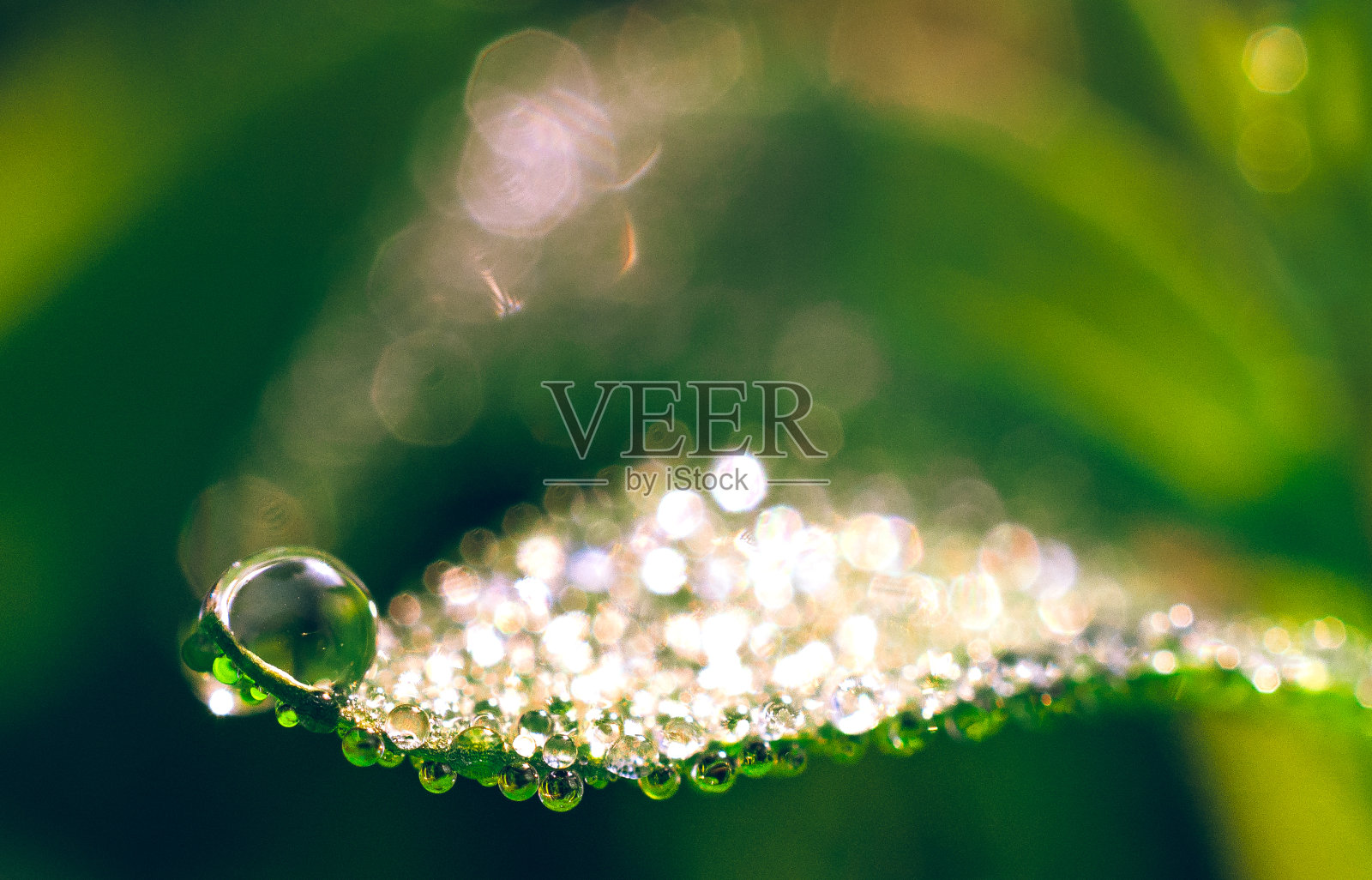 自然之美照片摄影图片