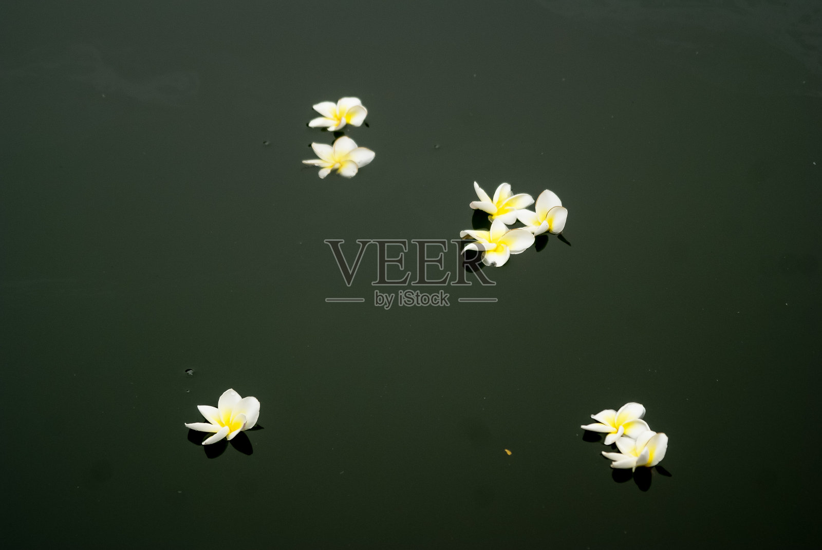 Flotting水照片摄影图片