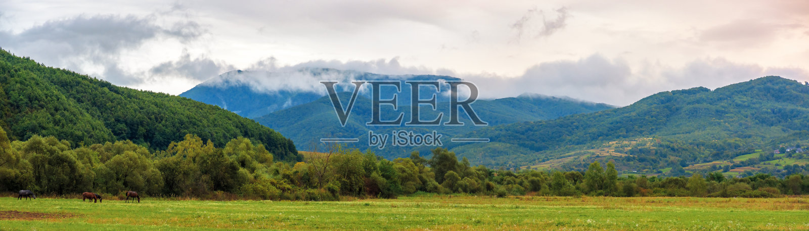 黎明时分群山中的乡村全景照片摄影图片