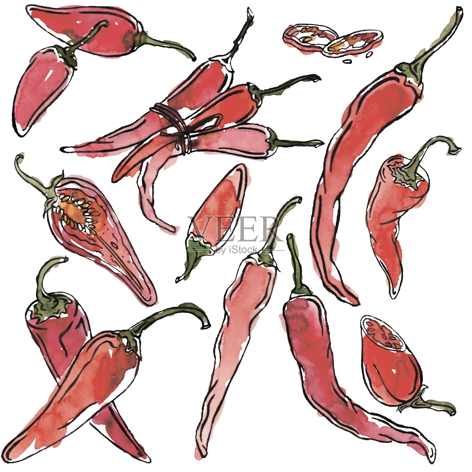水彩矢量辣椒插画图片素材