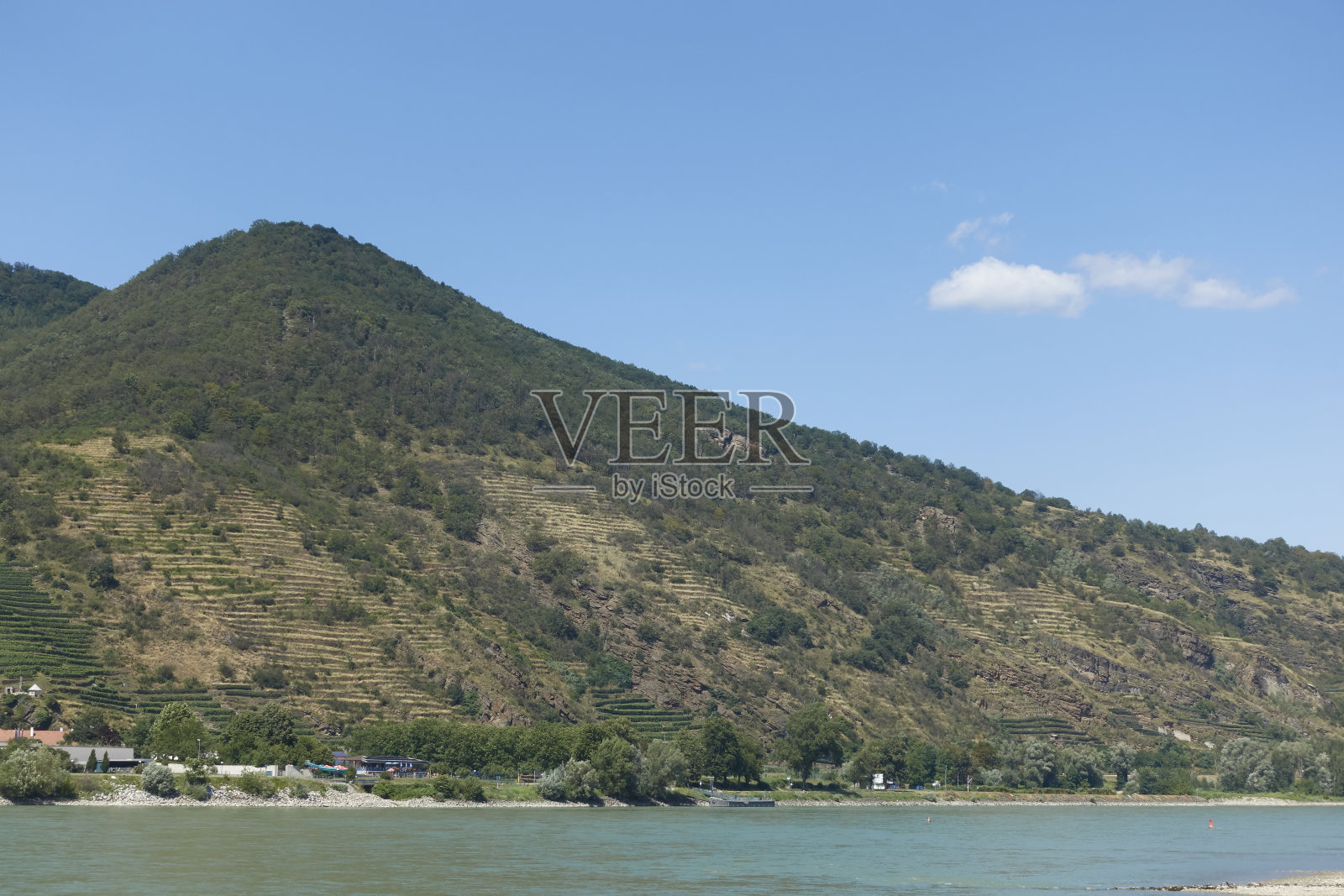 在奥地利的瓦肖山上有梯田状的葡萄园照片摄影图片