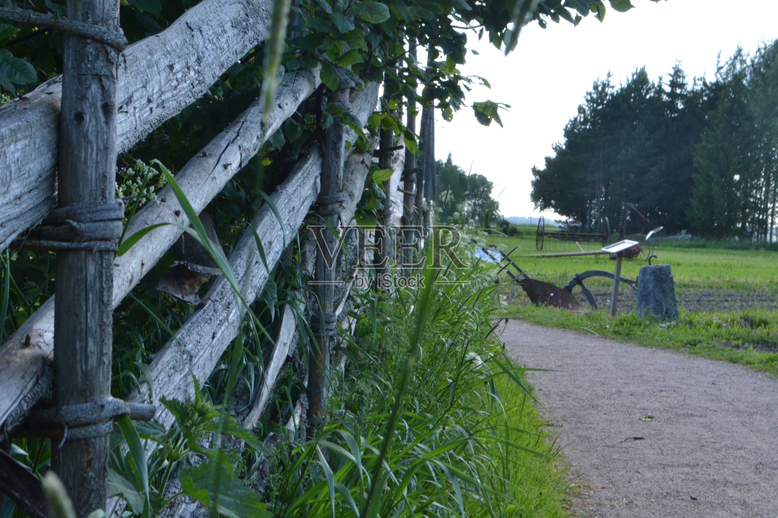 自然照片摄影图片
