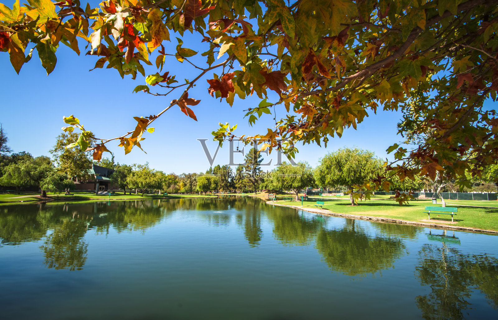等待的季节。照片摄影图片