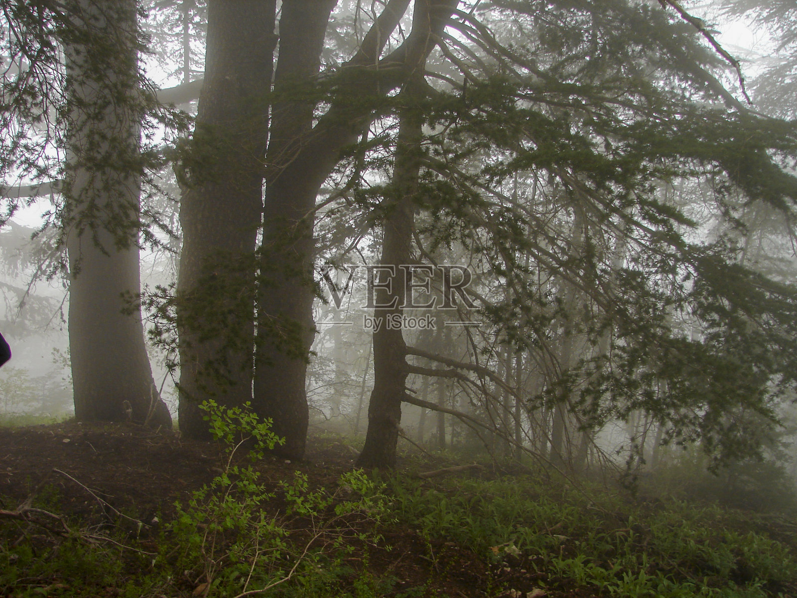 黎巴嫩北部美丽的自然风光照片摄影图片