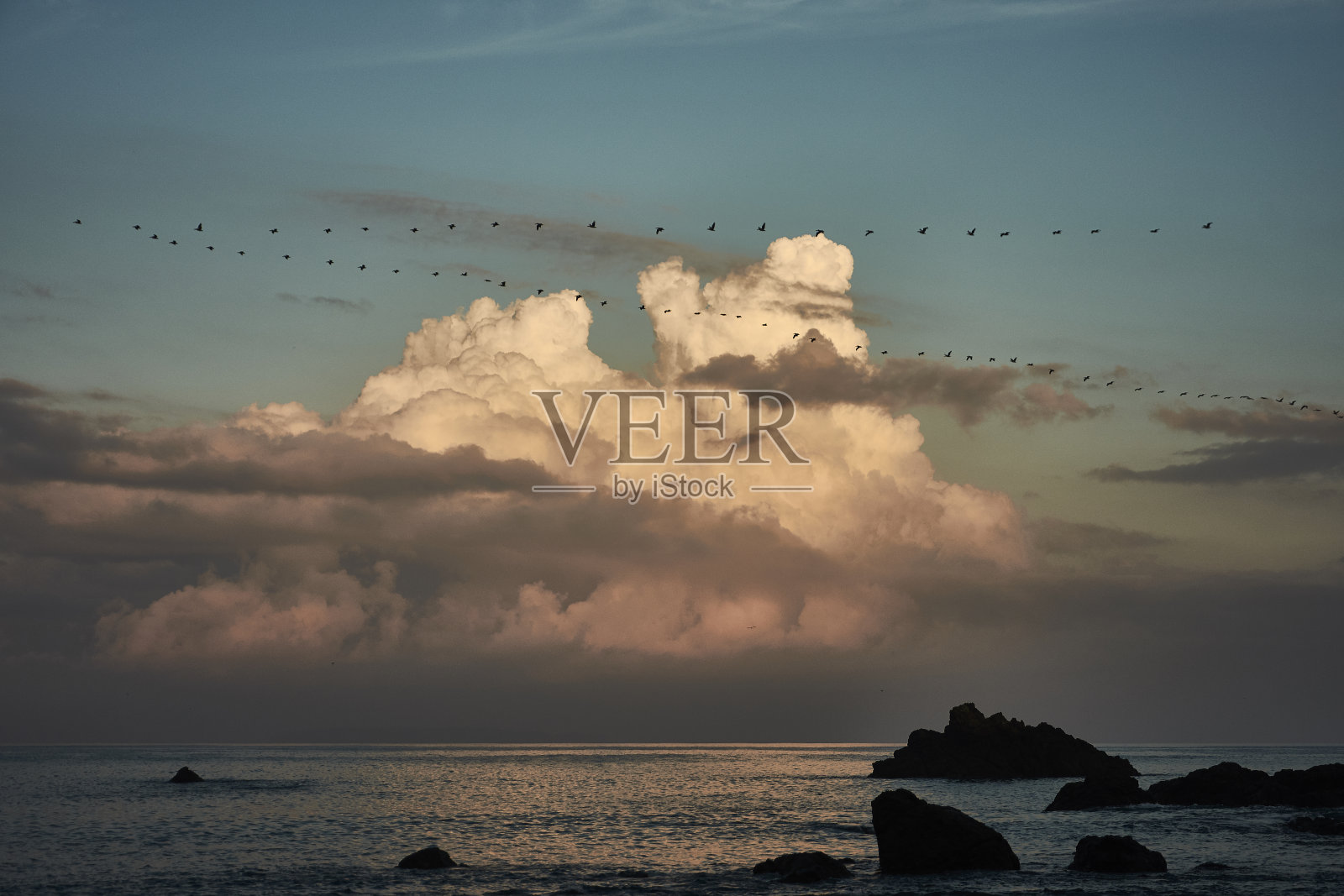 一群鹈鹕在哥斯达黎加的科尔科瓦多国家公园附近飞行照片摄影图片