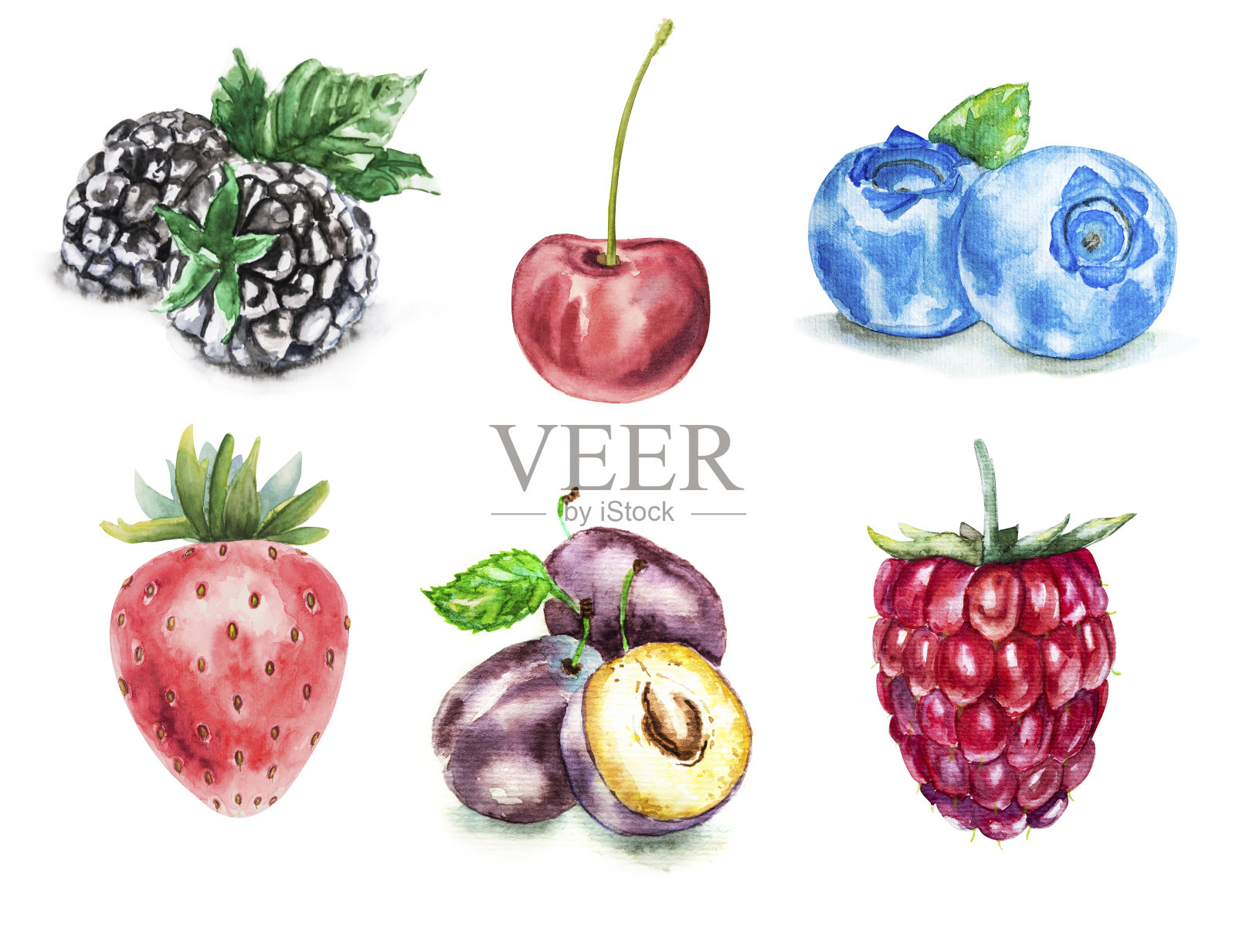 手绘水彩成熟的夏季浆果孤立在白色的背景插画图片素材