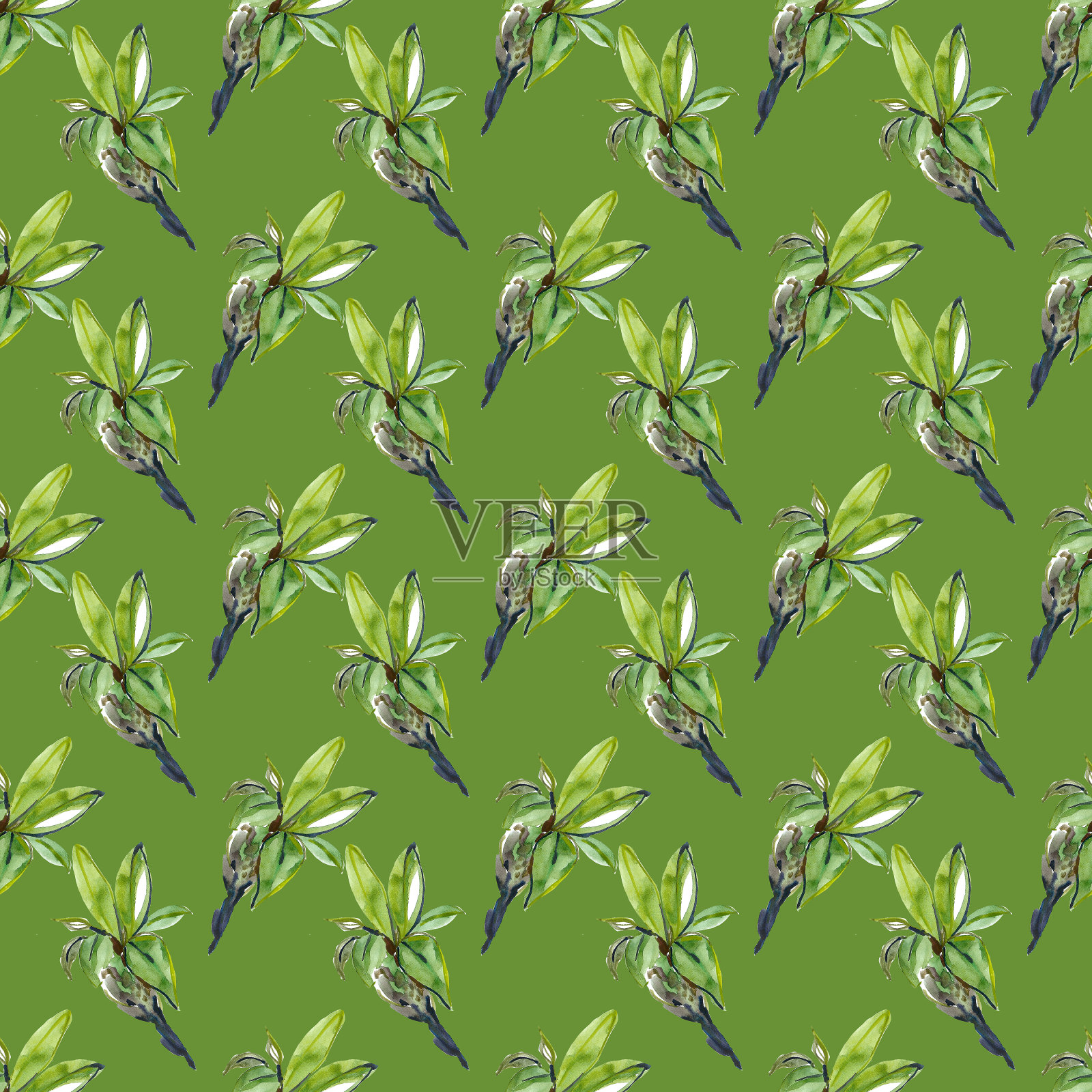 野蒜叶照片摄影图片