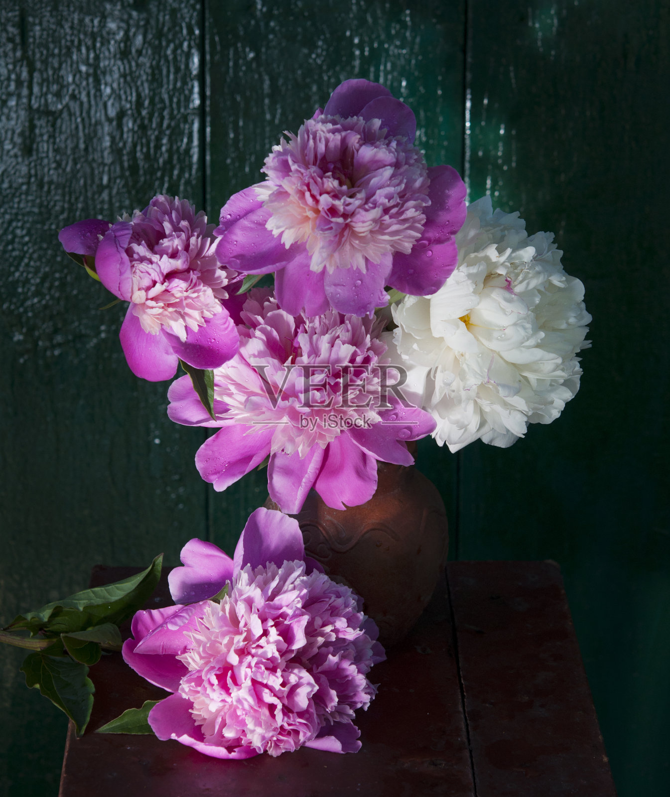 牡丹花，花束，背景为深绿色照片摄影图片