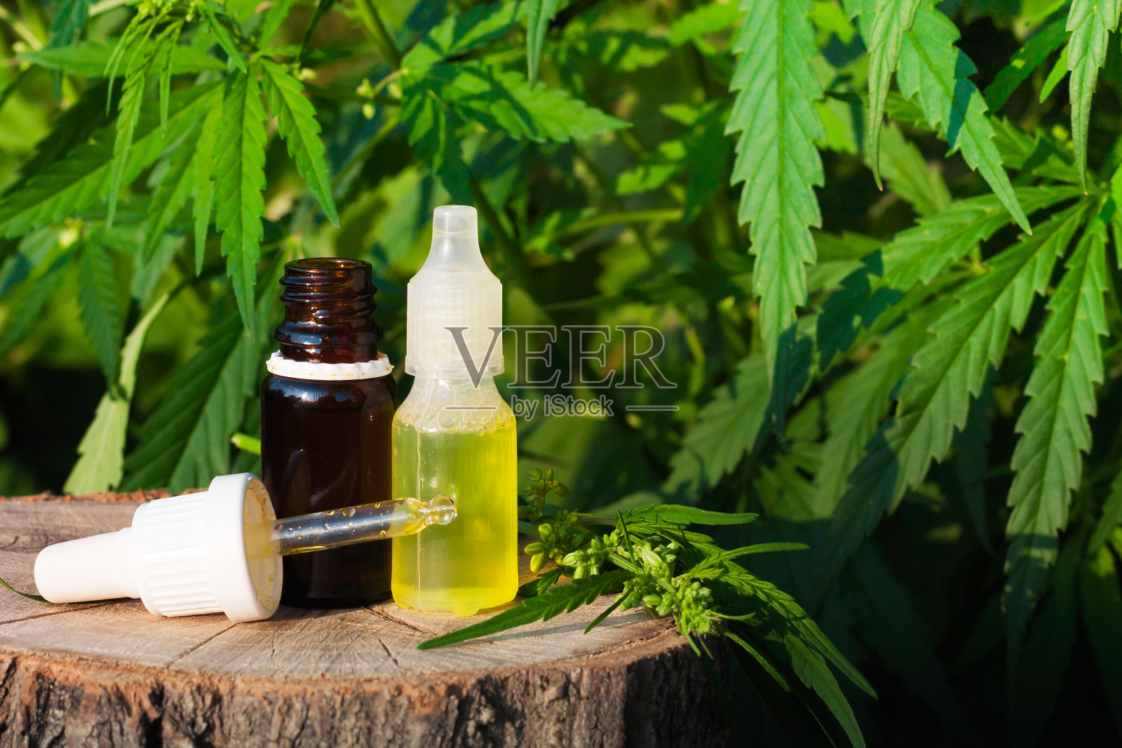 制药CBD石油。有机草药产品。来自大自然的天然草本精华。瓶治CBD油照片摄影图片
