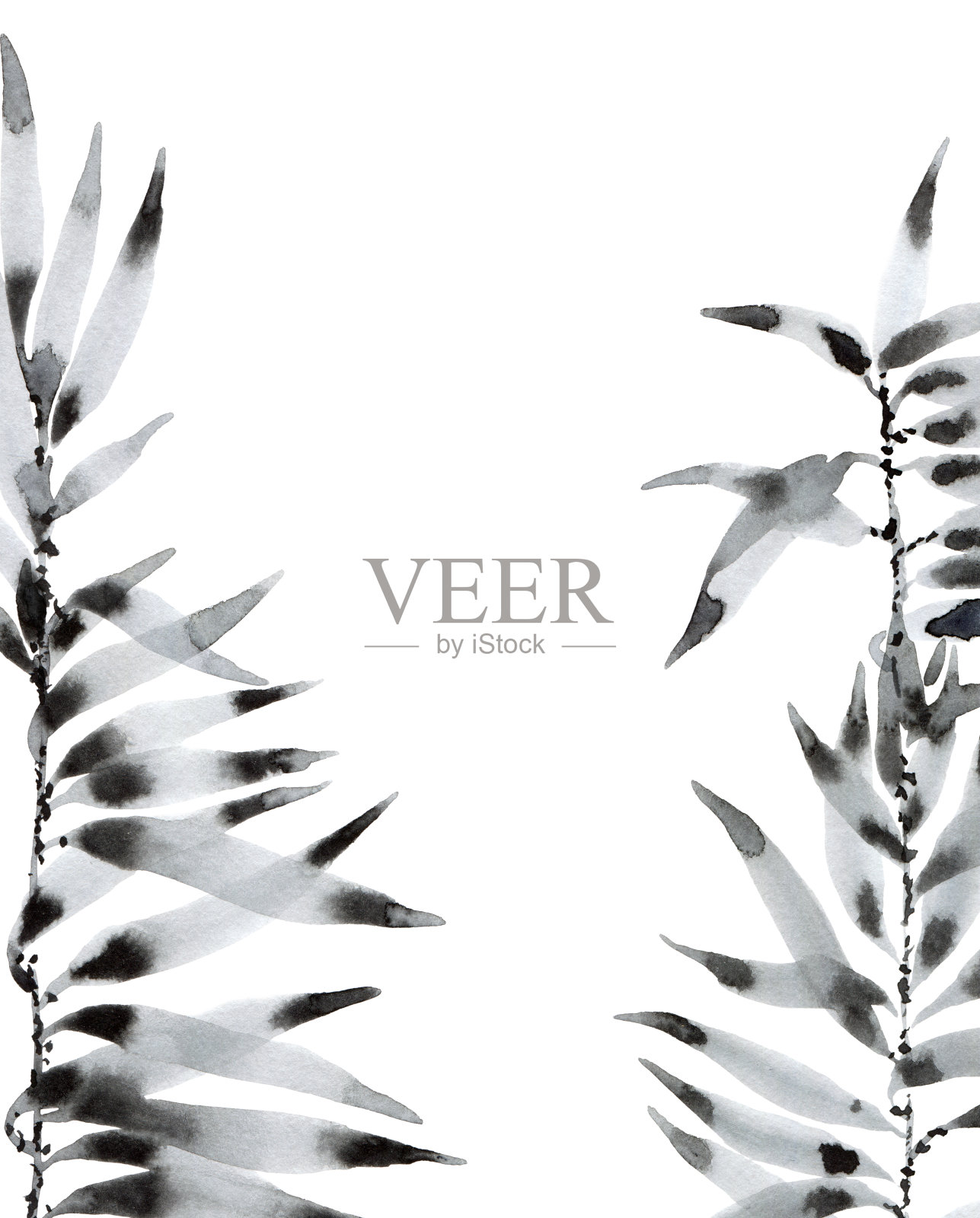 水彩画的树叶照片摄影图片