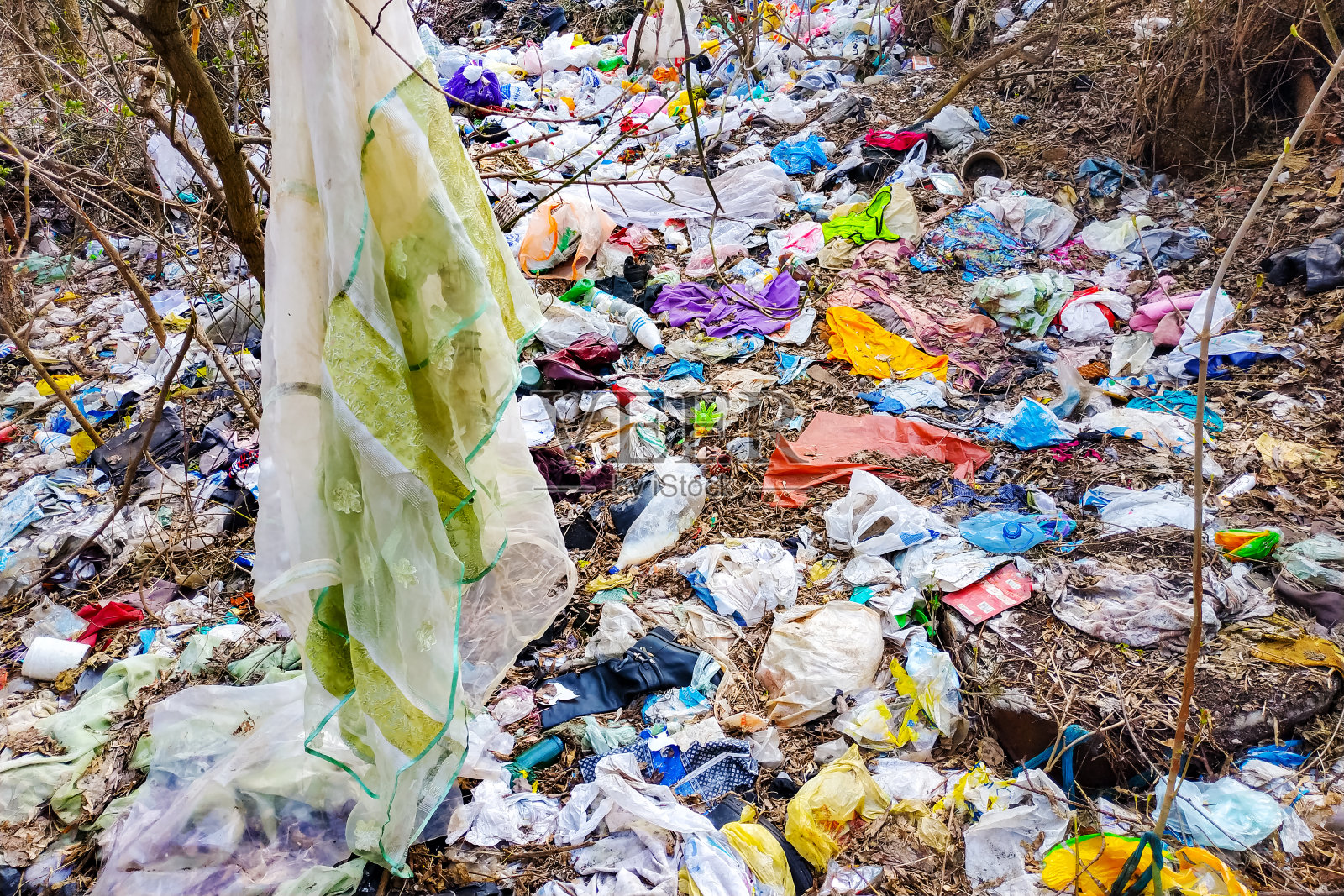 森林里的塑料垃圾和野外的污染。照片摄影图片