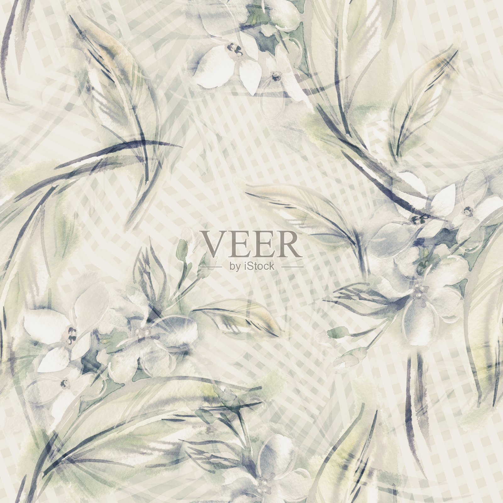 茉莉花无缝模式。插画图片素材