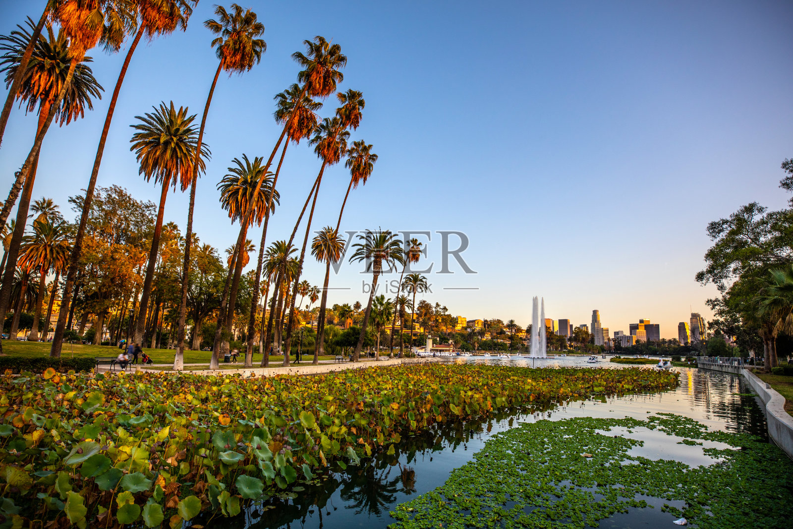 从摩天大楼俯瞰洛杉矶的城市景观照片摄影图片