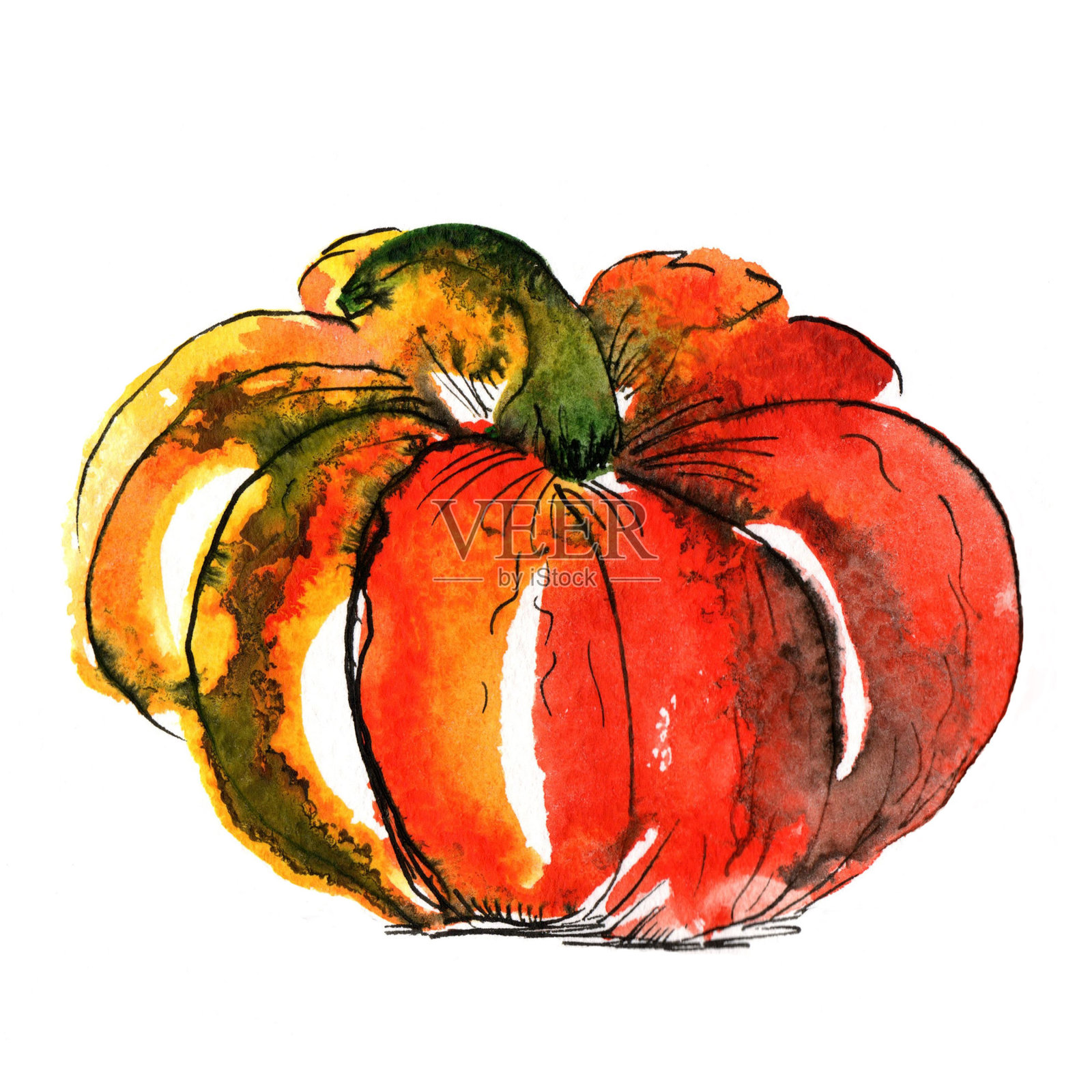 万圣节和秋天的水彩南瓜。在白色背景上孤立的物体。明亮的草图插画图片素材