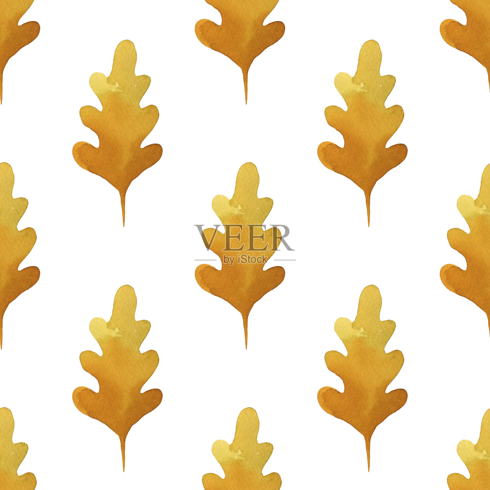 无缝图案与黄色橡树叶。真正的水彩画。秋季时装插画图片素材