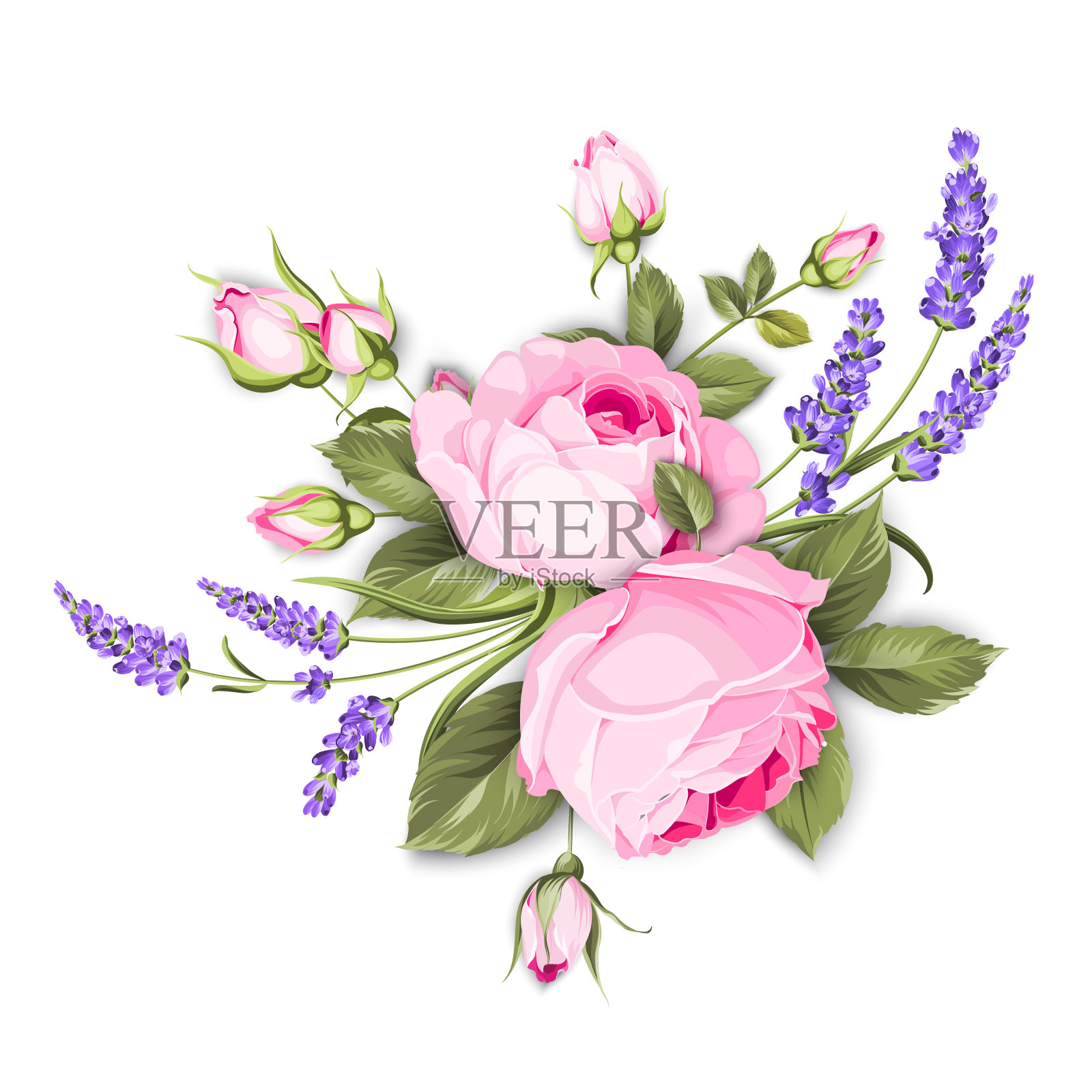 春天的花束，彩色的蓓蕾花环。标签上有玫瑰花。一束芳香的薰衣草花。邀请卡模板与紫罗兰花的薰衣草。插画图片素材