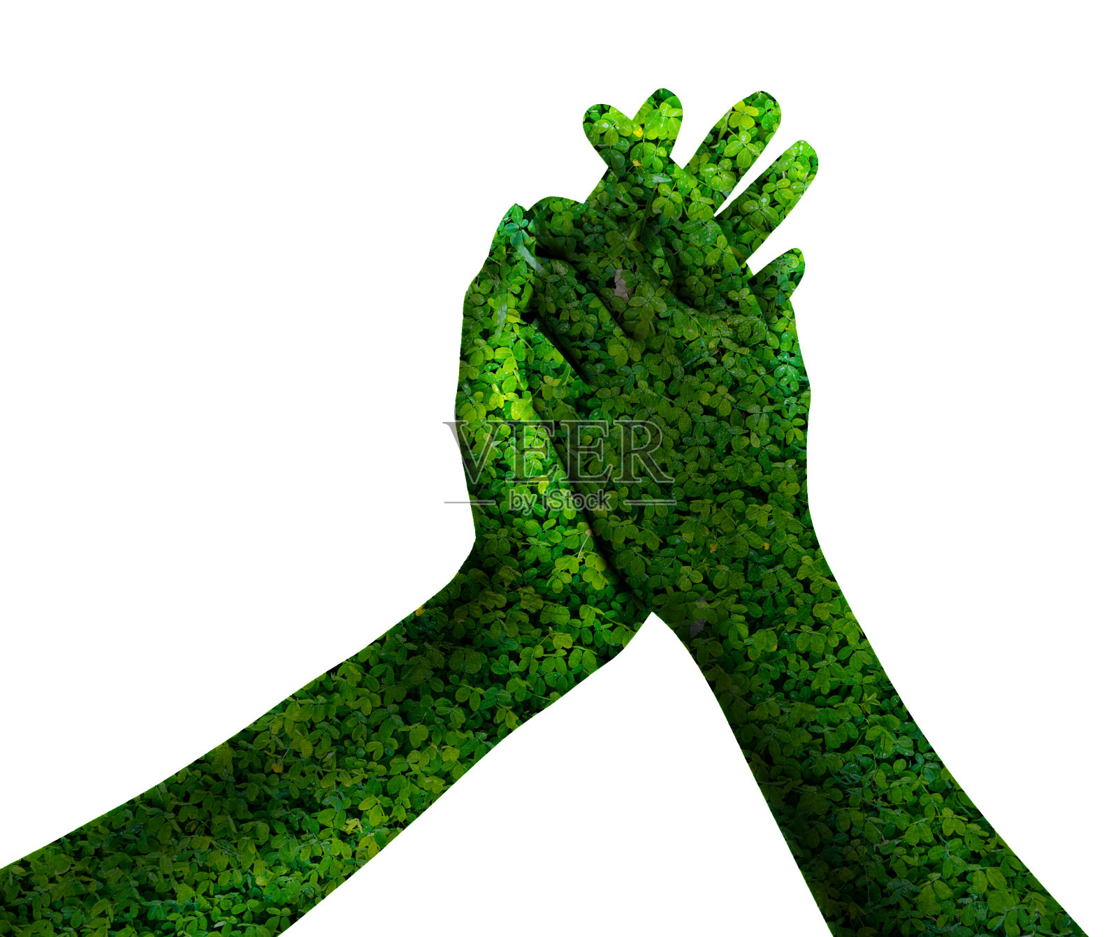 绿色对象的环境概念孤立在白色背景照片摄影图片