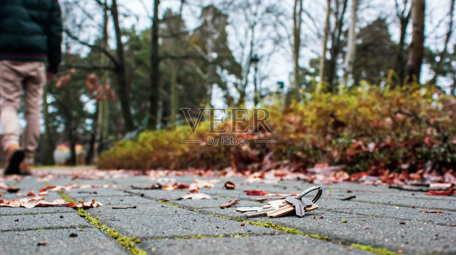 一个丢了钥匙的人照片摄影图片