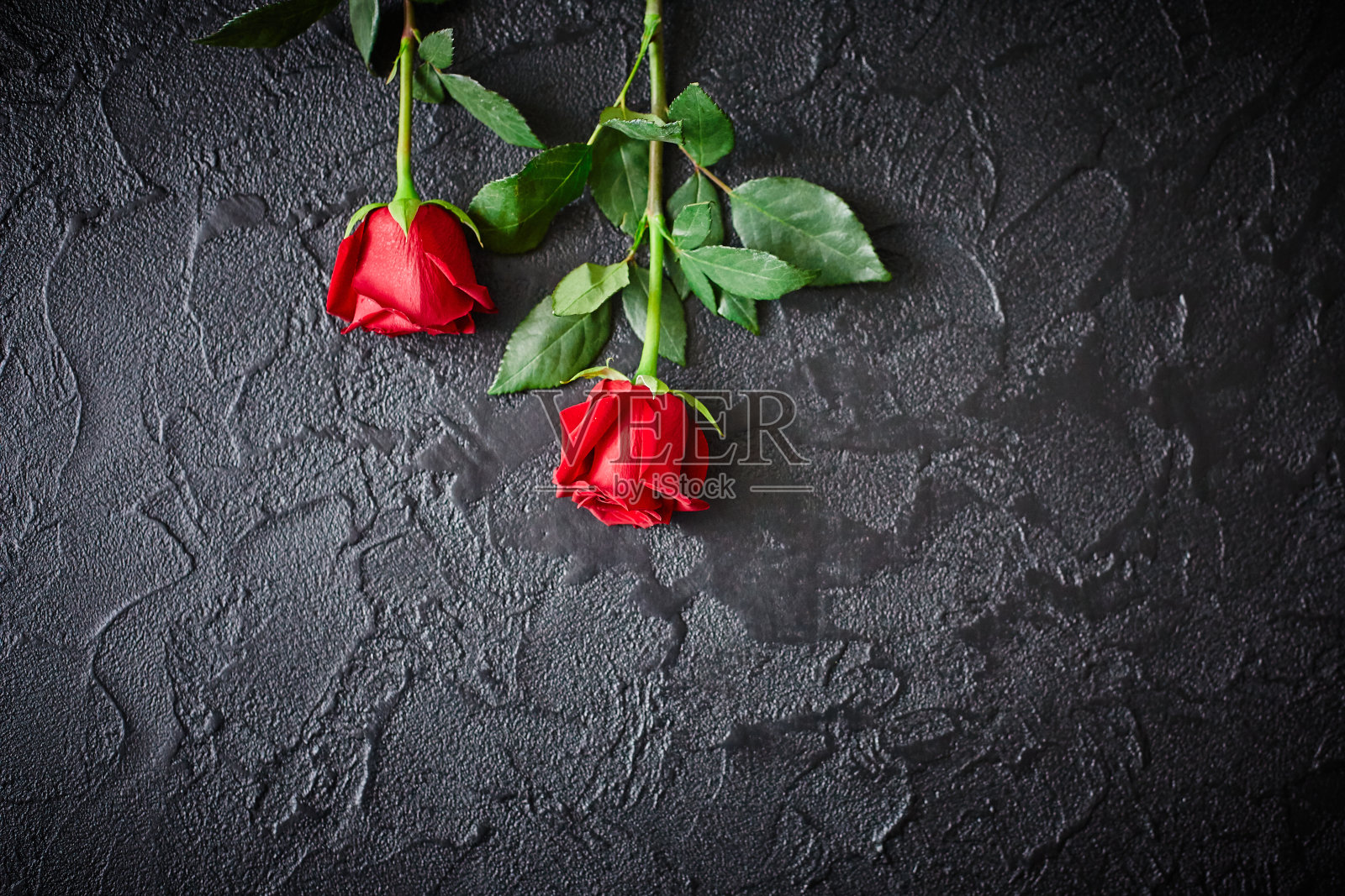 两朵红玫瑰，背景是黑色的石头。文本的地方照片摄影图片