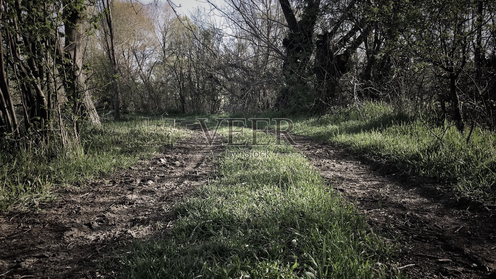 村路照片摄影图片
