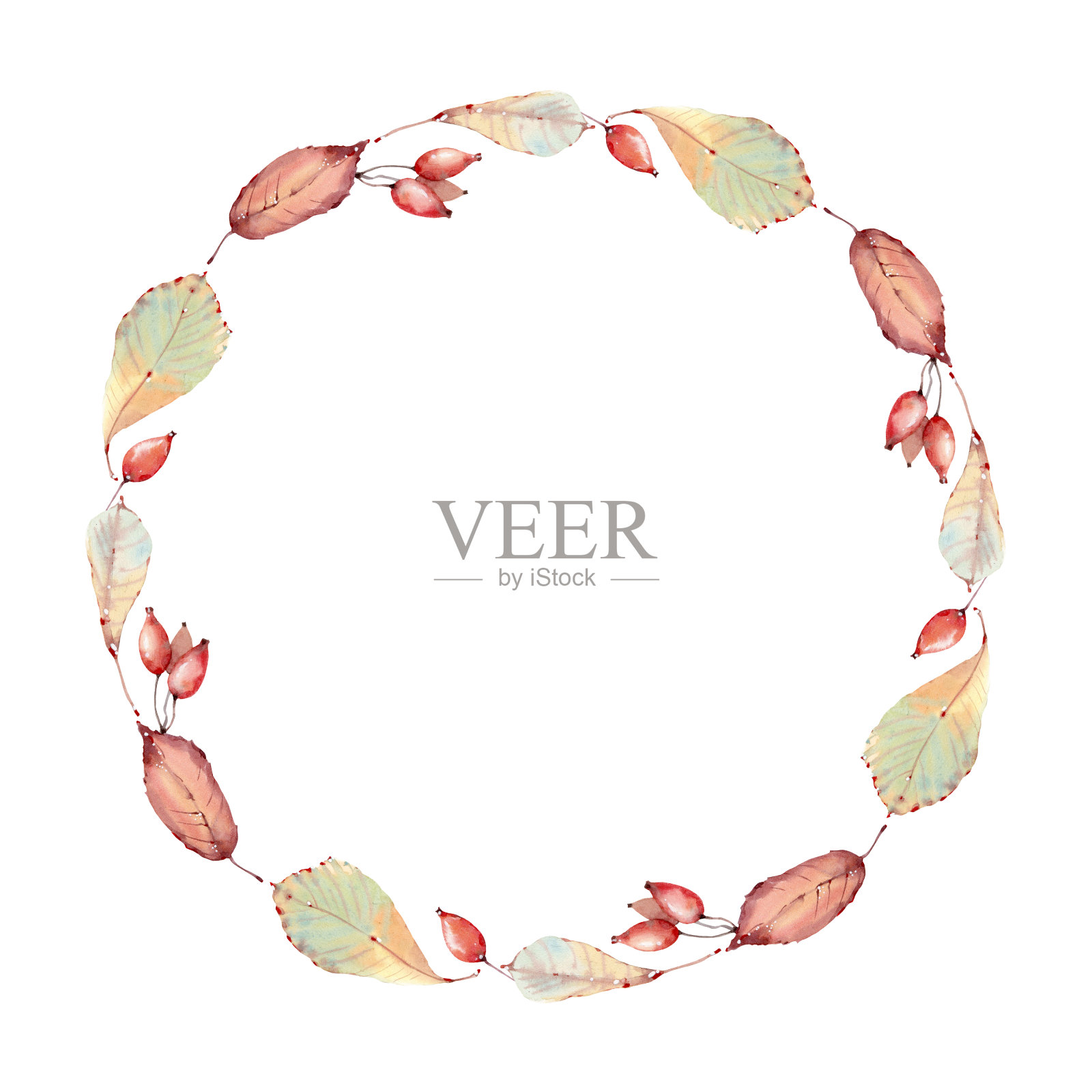 优雅的水彩叶子圆框。插画图片素材