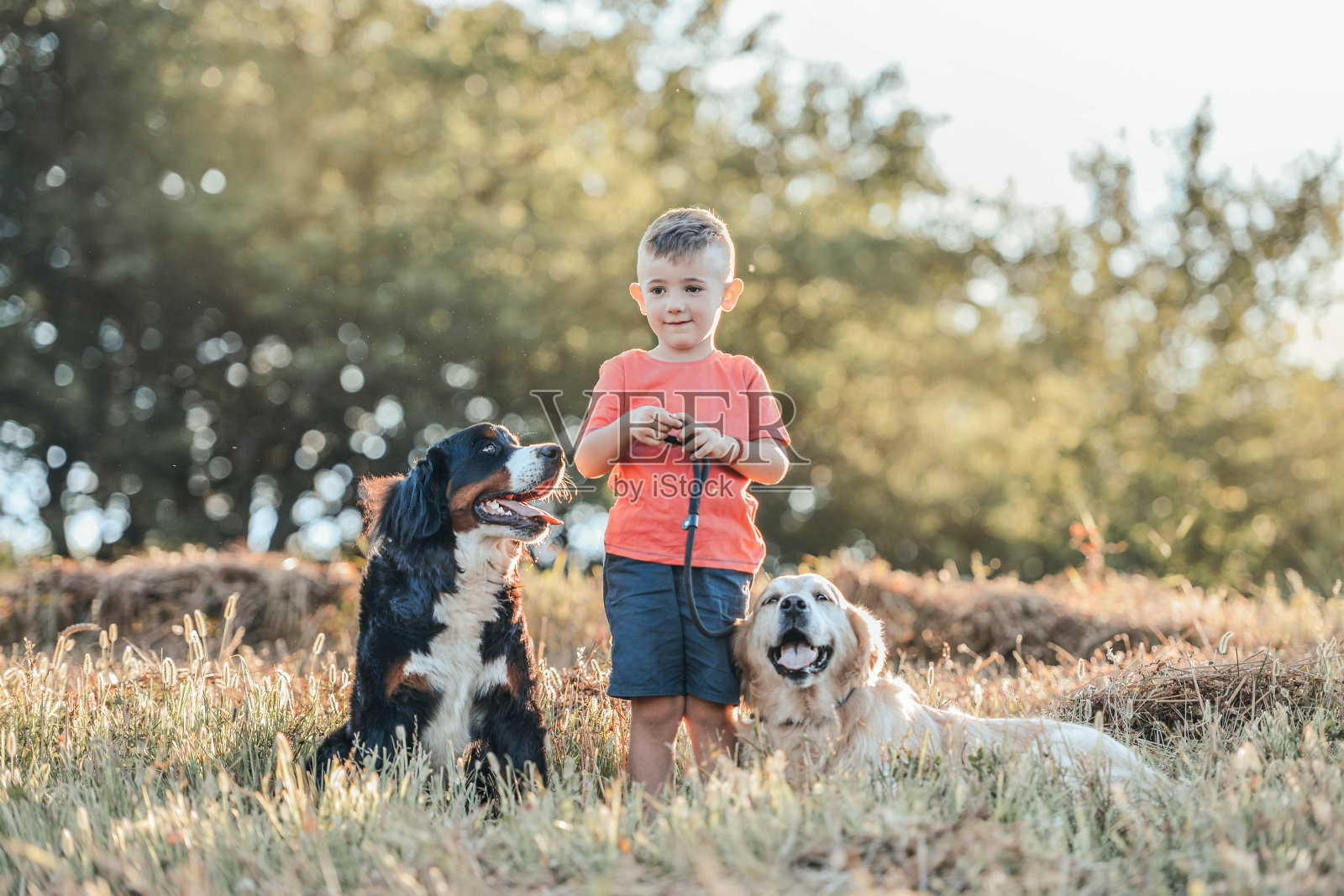 最好的朋友会一起走照片摄影图片