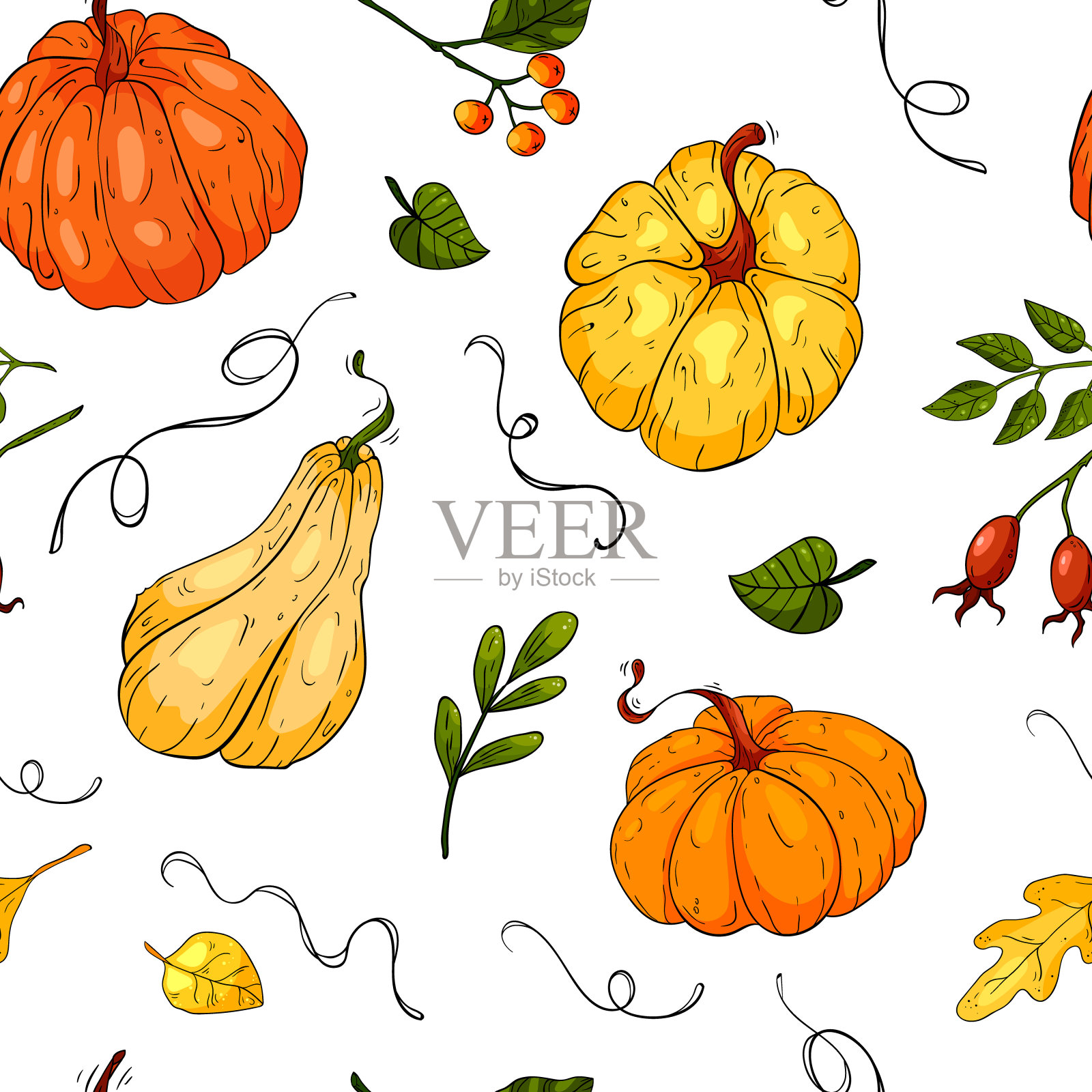 无缝图案与彩色南瓜在白色的背景，可爱的手绘南瓜节日万圣节插画图片素材