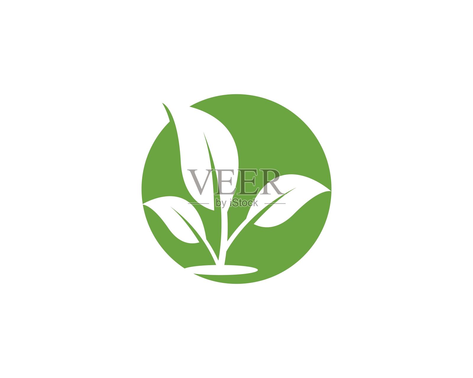 自然植物设计插图设计元素图片