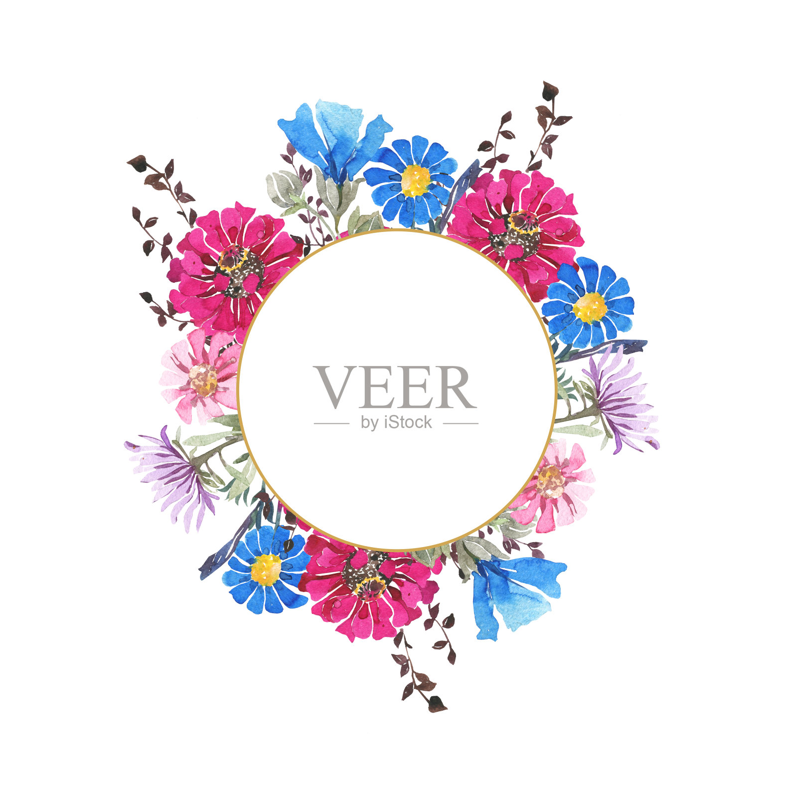 水彩植物圆框。野生春花。彩色鲜艳的花束。粉色的非洲菊，蓝色的矢车菊，草本植物。婚礼请柬，贺卡。插画图片素材