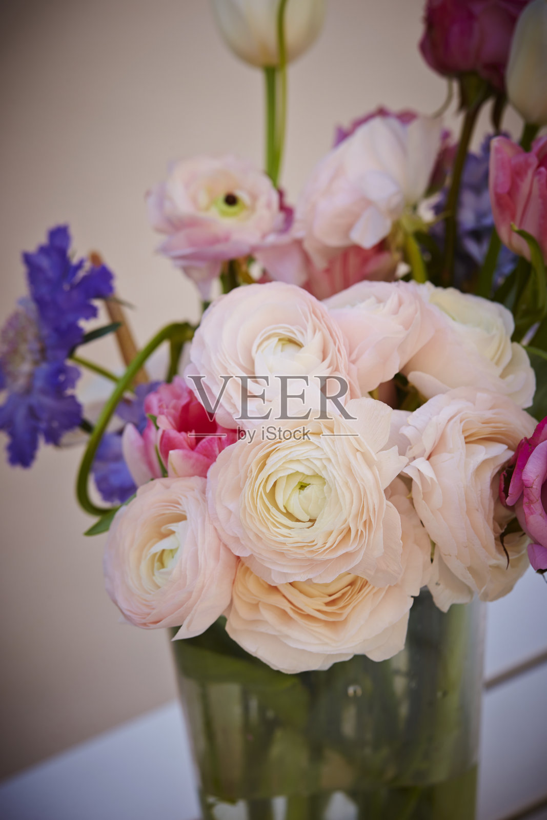 花照片摄影图片