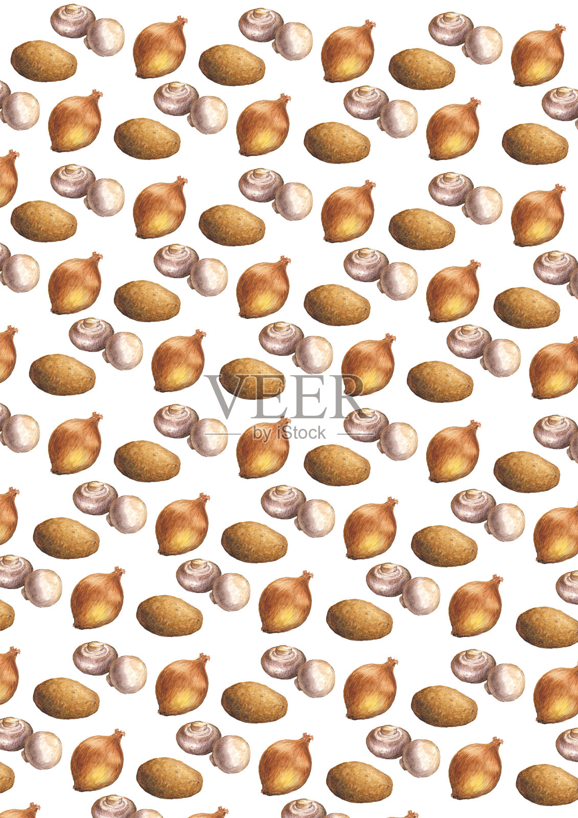水彩插图图案的冠军，洋葱和土豆插画图片素材