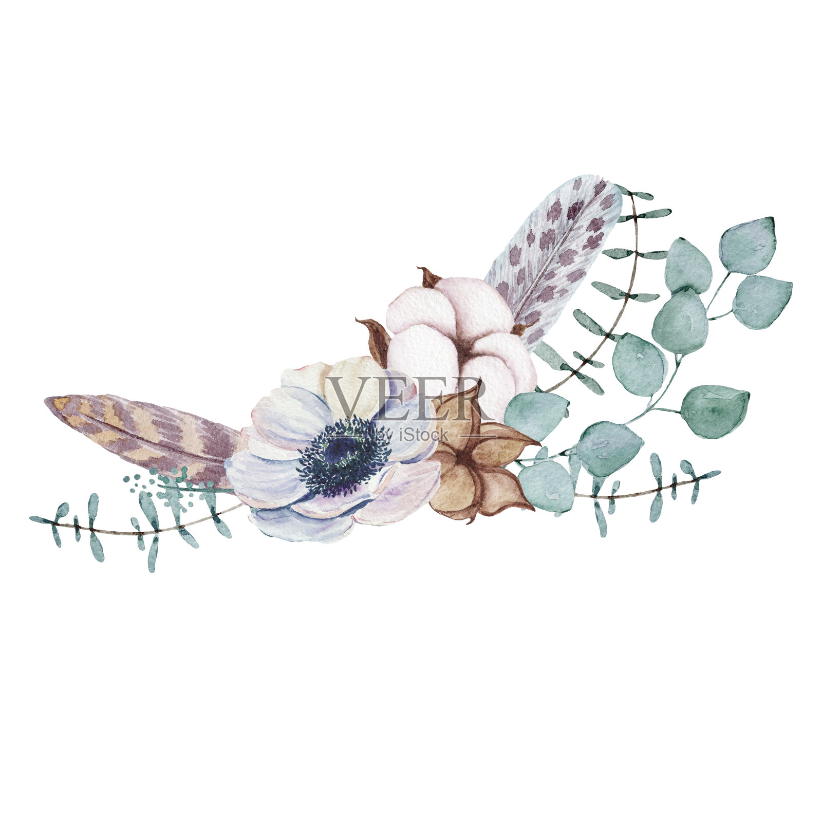 水彩牡丹、棉花、野花花束。叶、花、枝的艺术组合。手绘植物插图。孤立的花，在白色的背景上成花状。插画图片素材