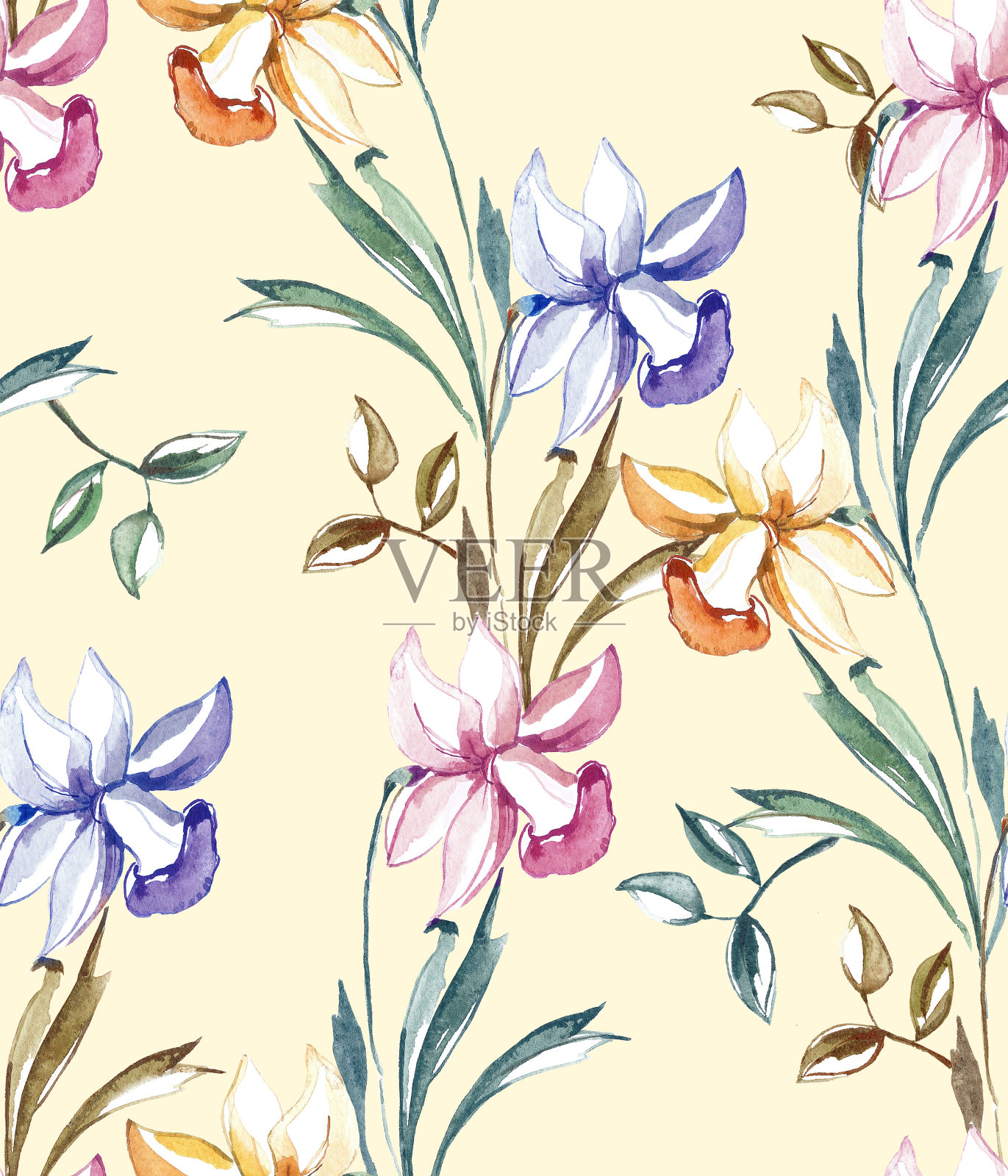 水仙模式插画图片素材