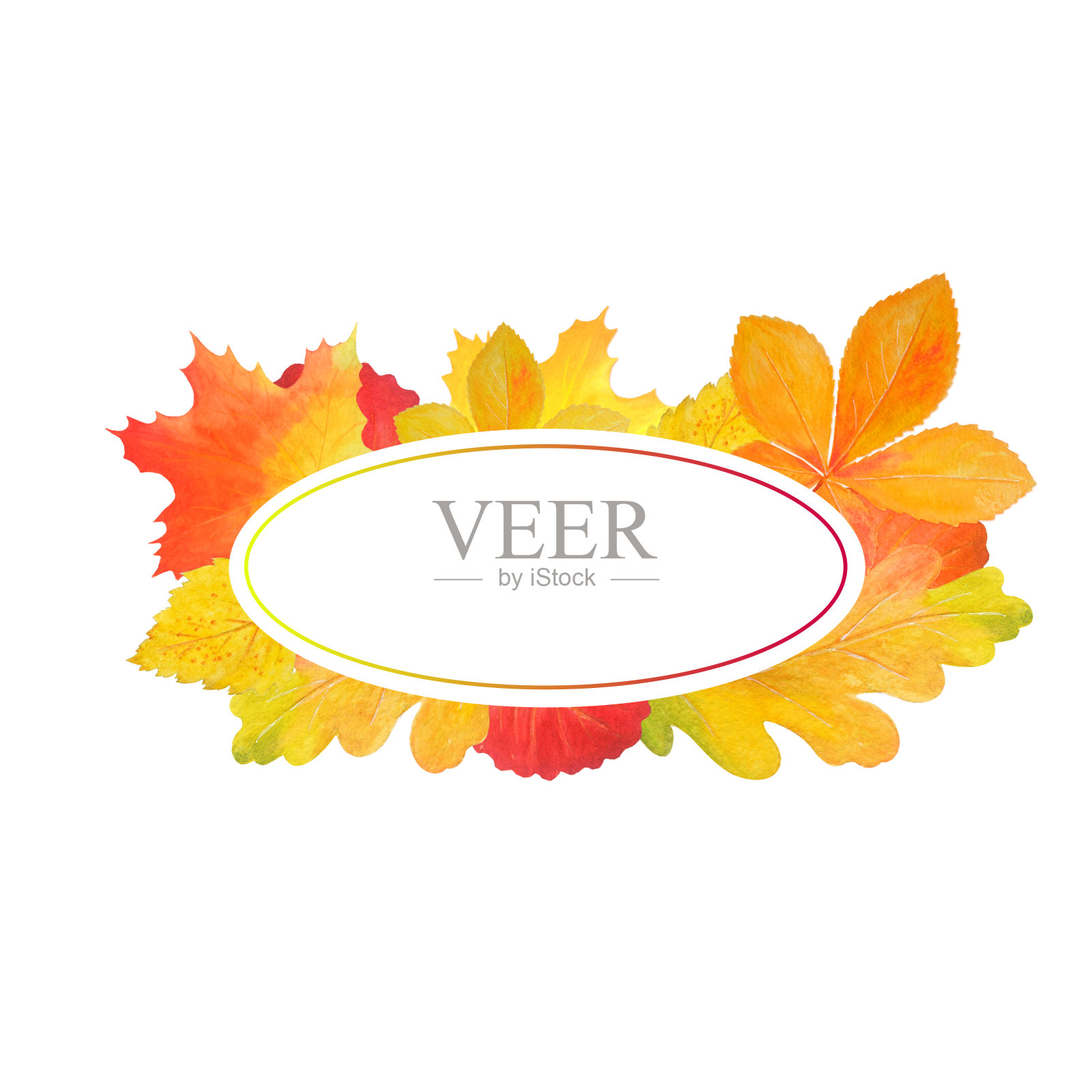 在白色背景上的演示模板。秋叶之静美。插画图片素材