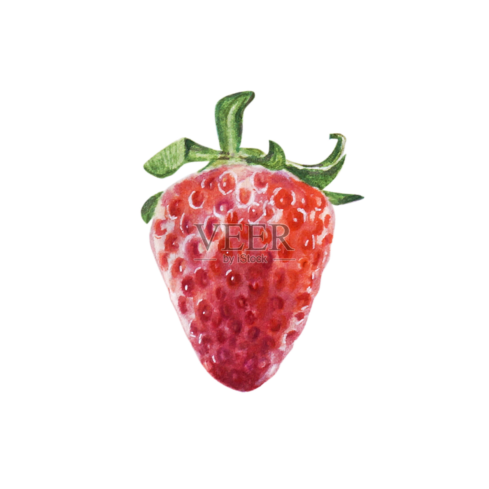 水彩红多汁草莓。夏天甜甜的水果和浆果。插画图片素材