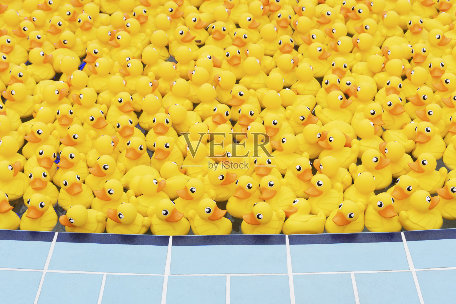 黄色的玩具鸭子照片摄影图片