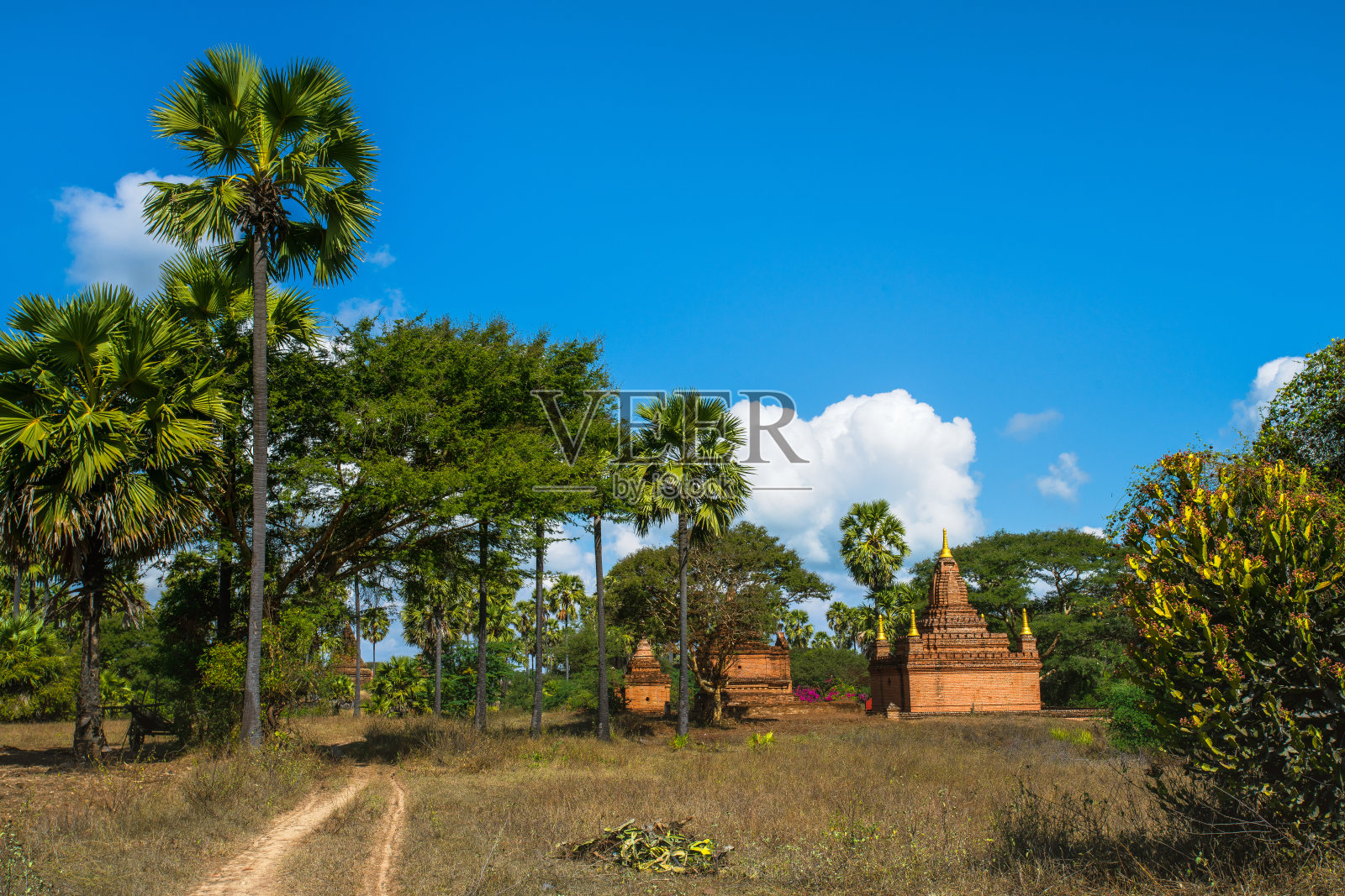 图表照片摄影图片