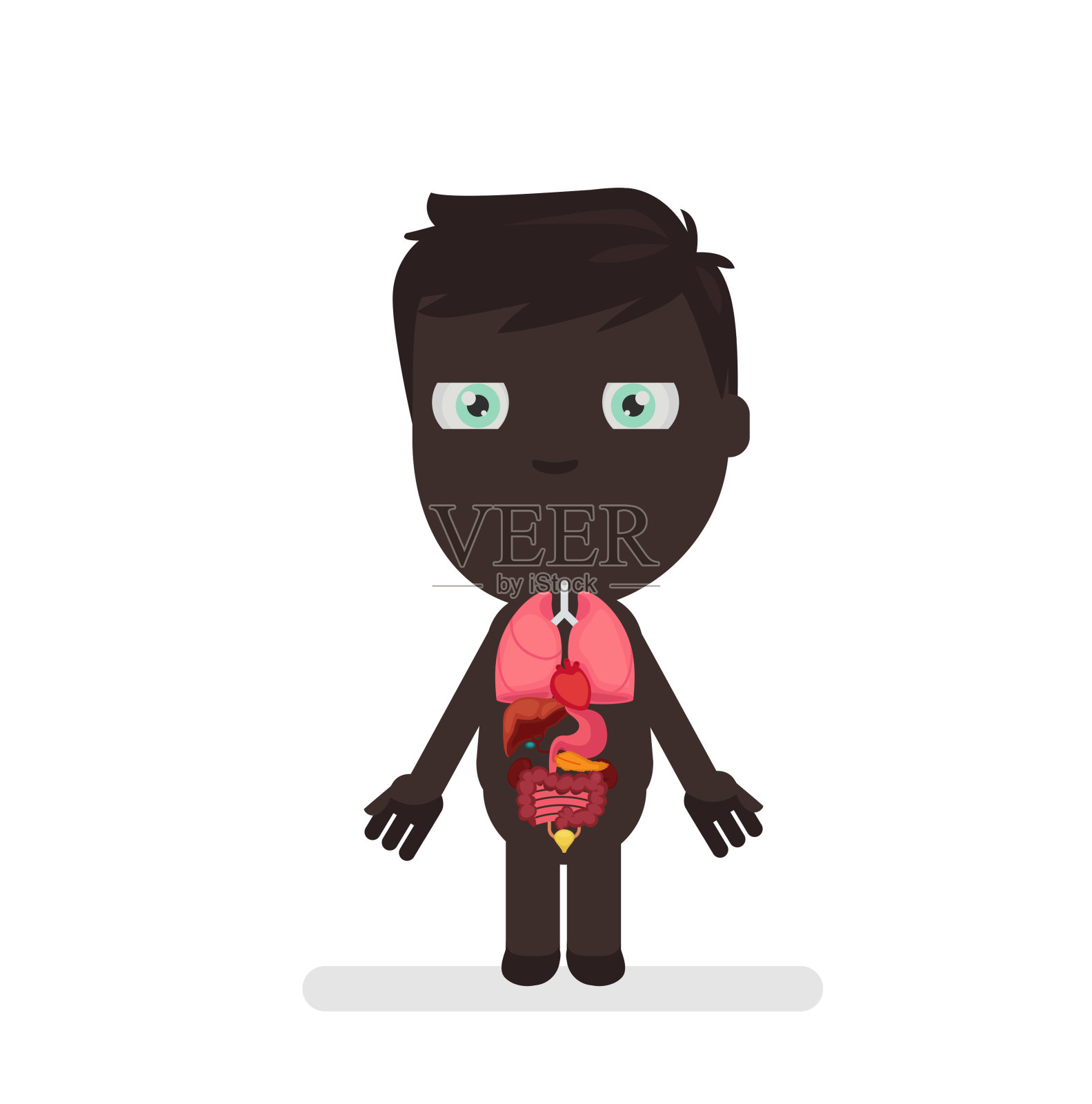 人体解剖矢量图插画图片素材