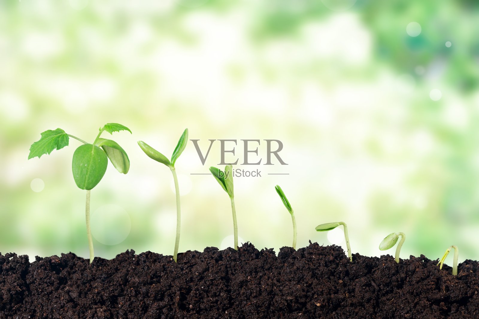 工厂。照片摄影图片