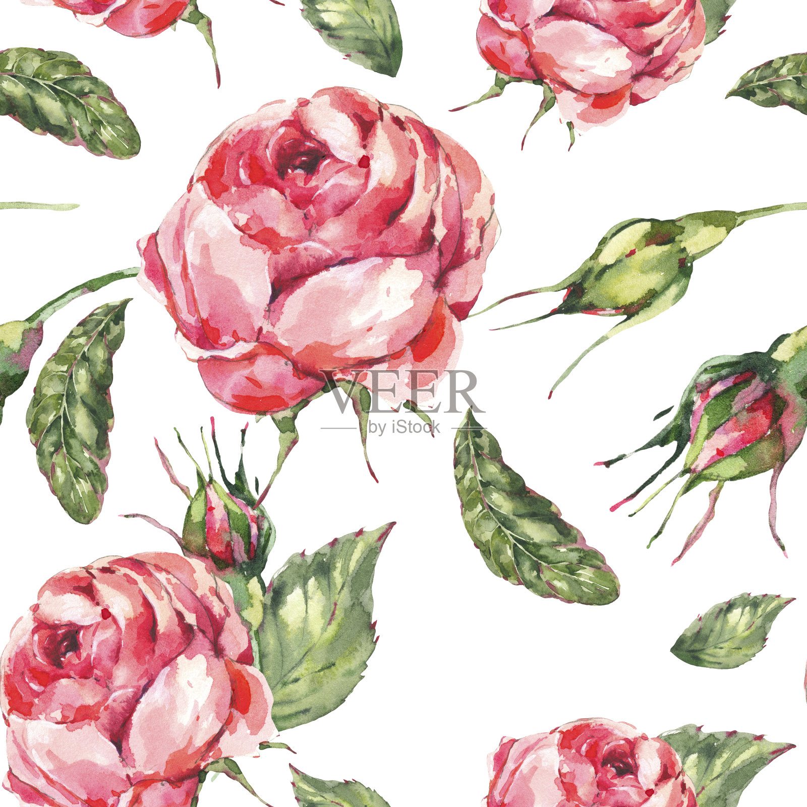 古典水彩复古红玫瑰，叶子，花蕾无缝图案插画图片素材