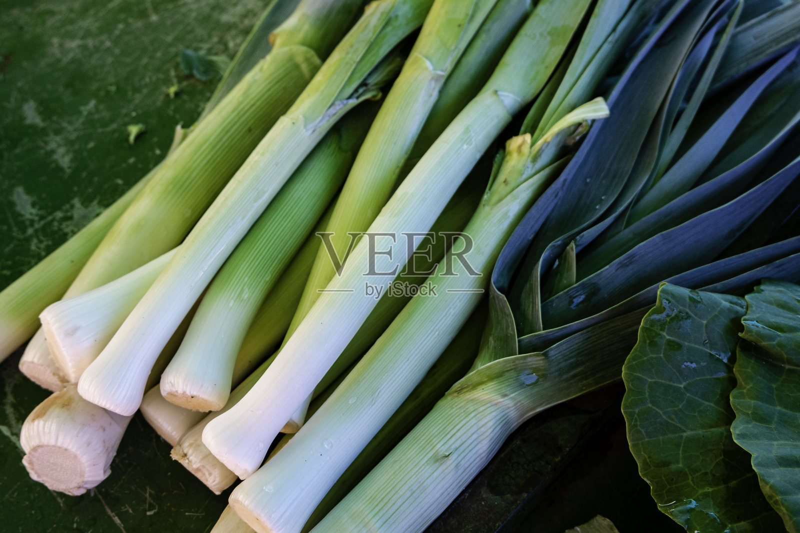 有机博览会上的少量韭菜照片摄影图片