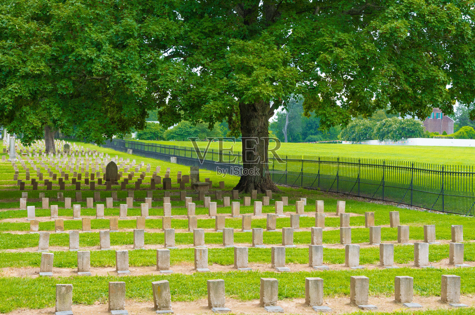 田纳西州富兰克林邦联公墓照片摄影图片