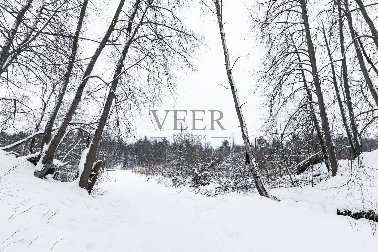 雪地里的乡村冬季小路照片摄影图片