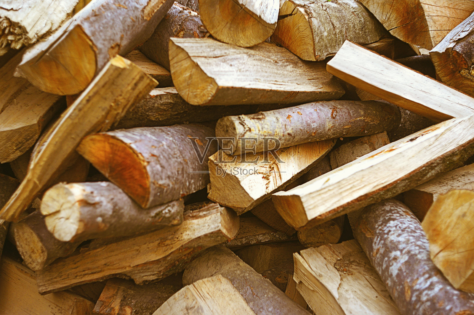 地上的原木照片摄影图片