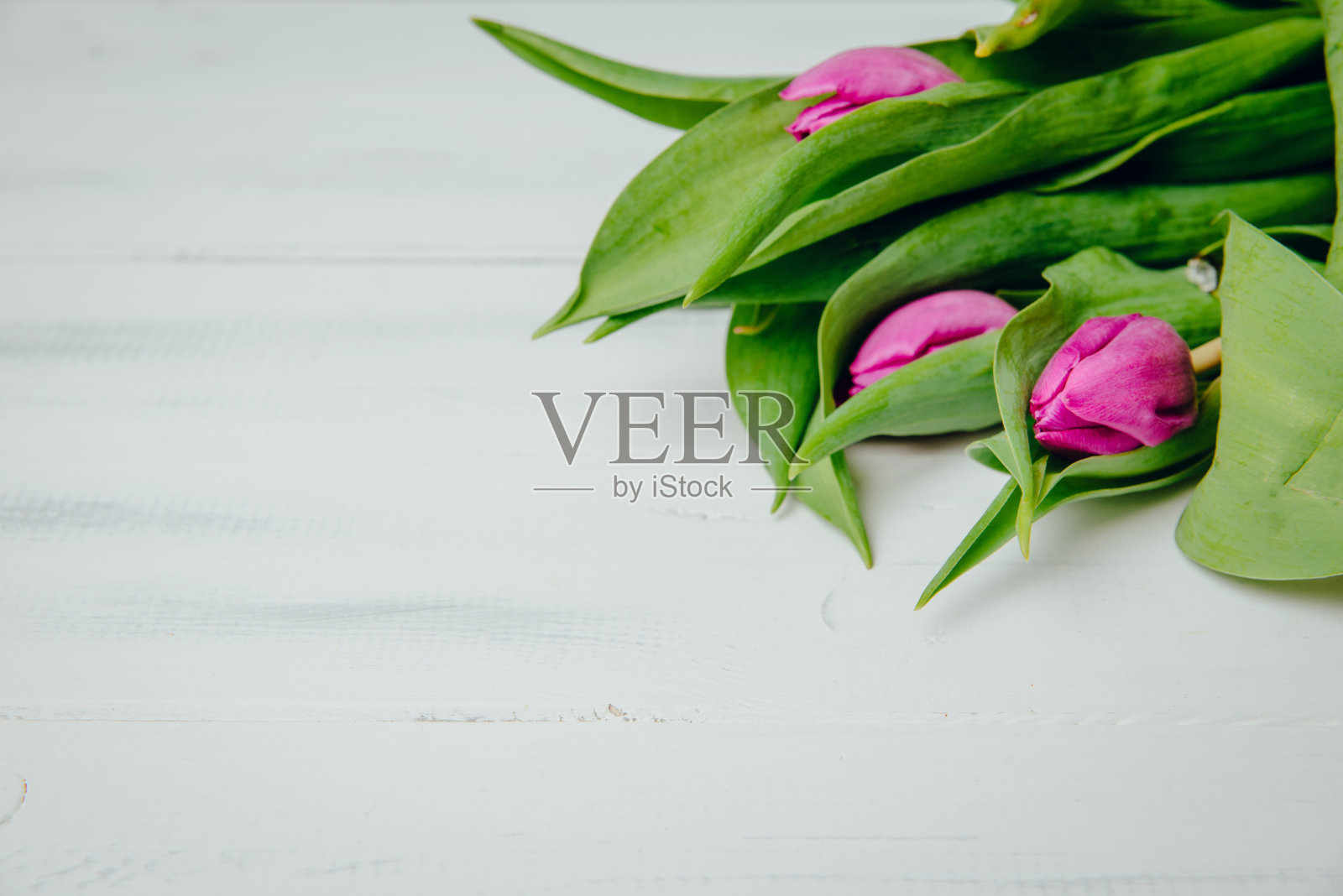 木桌上紫罗兰的俯视图。给女人送花的概念，女孩。照片摄影图片