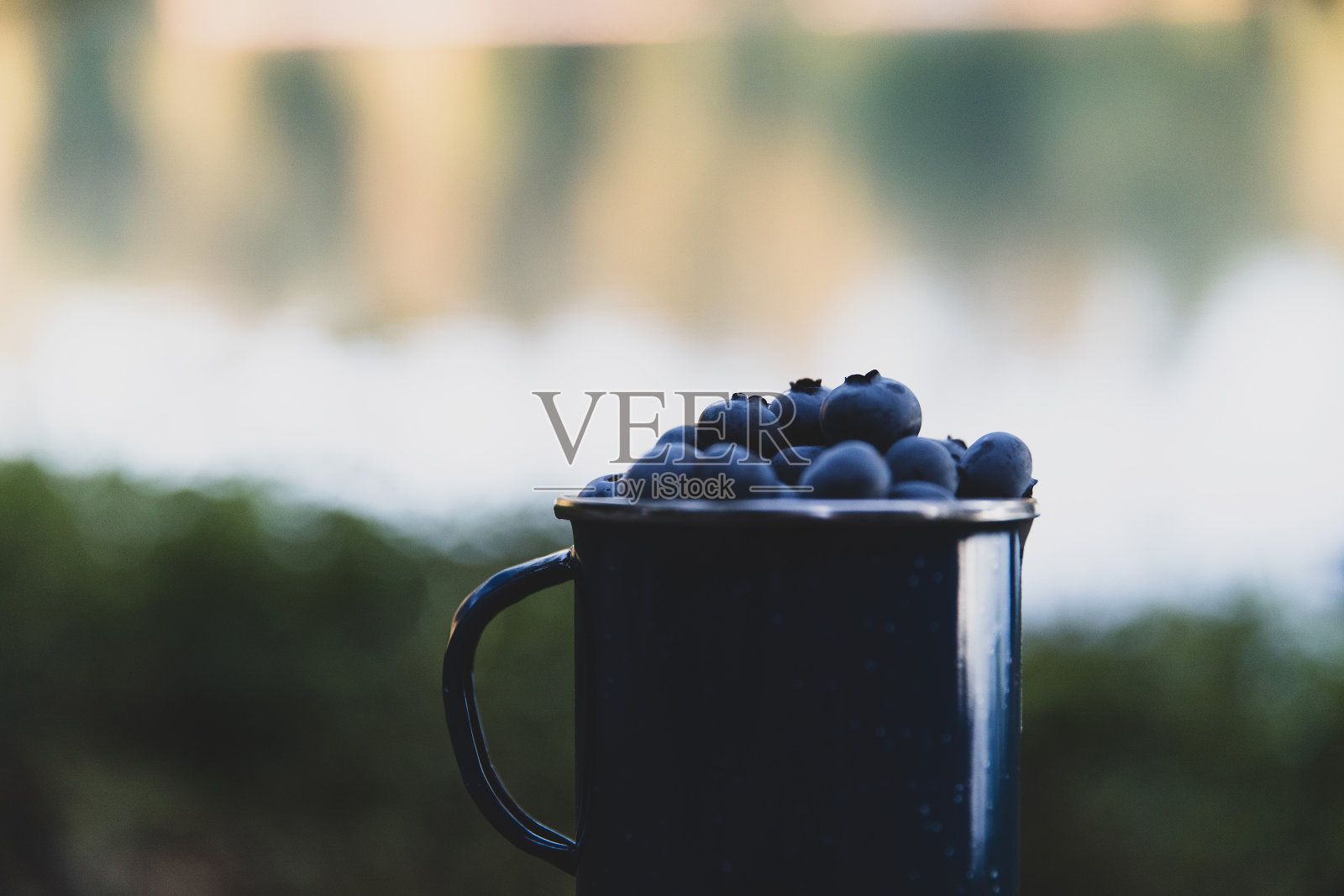 一大杯新鲜采摘的有机蓝莓照片摄影图片