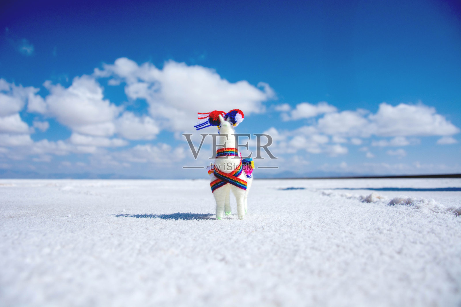 撒拉语照片摄影图片