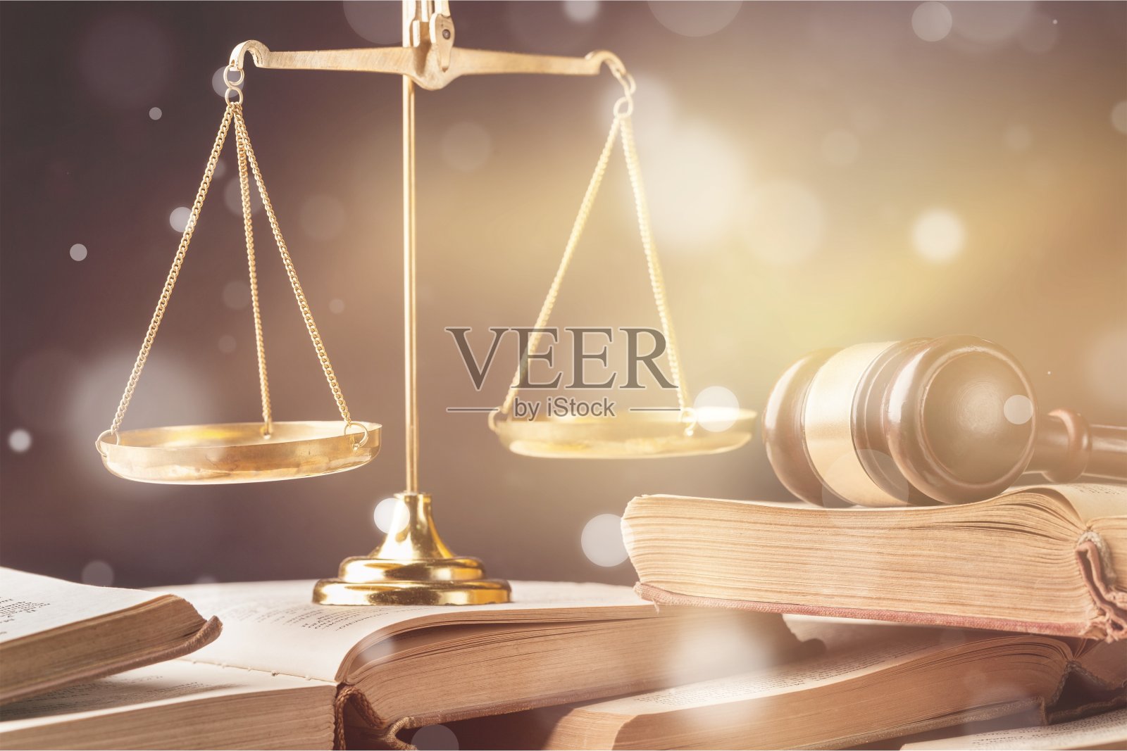 权威照片摄影图片