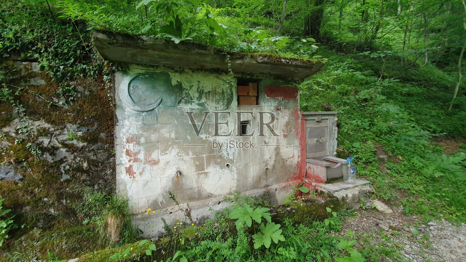 自然照片摄影图片