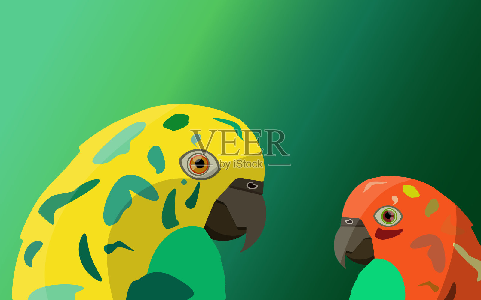 绿色背景上的两只斑点鹦鹉。插画图片素材